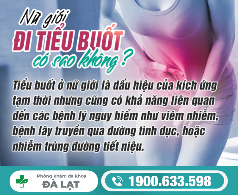 Hình ảnh minh họa